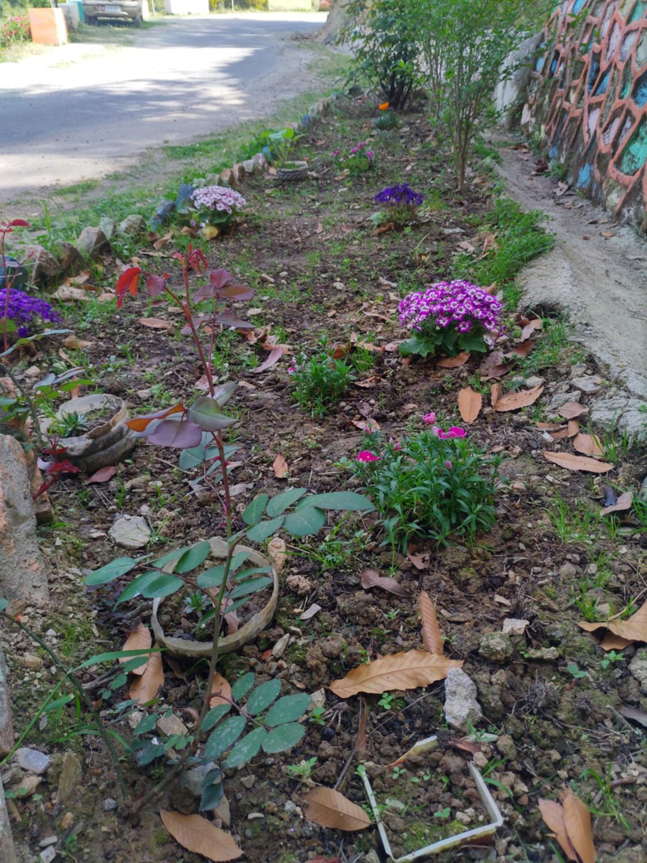 Photo 26