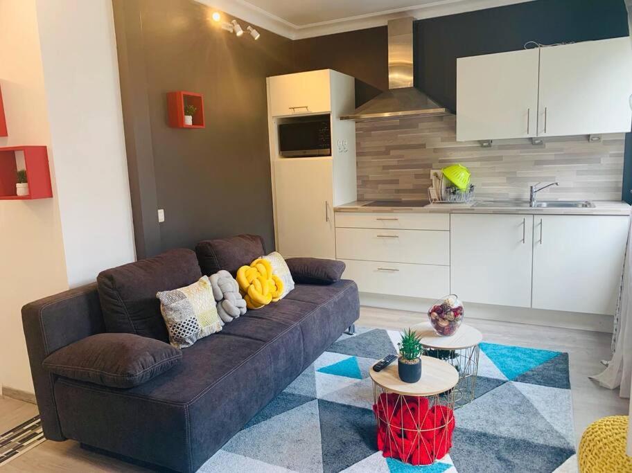 Appartement très proche médiacité - centre ville