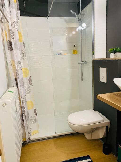 Appartement très proche médiacité - centre ville