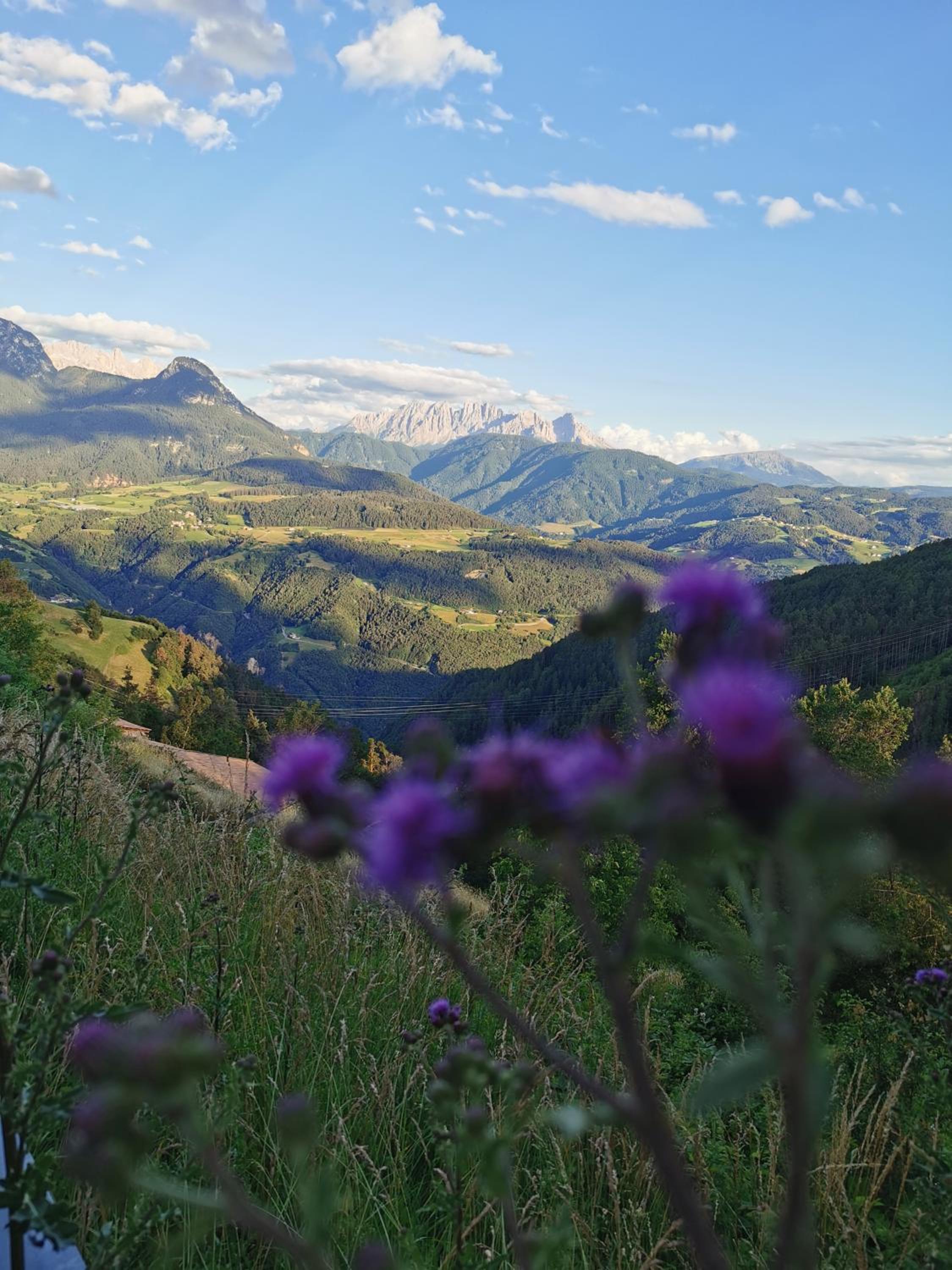 Ferienwohnung Marienkäfer Rückzugsort inmitten der Natur mit Bergblick