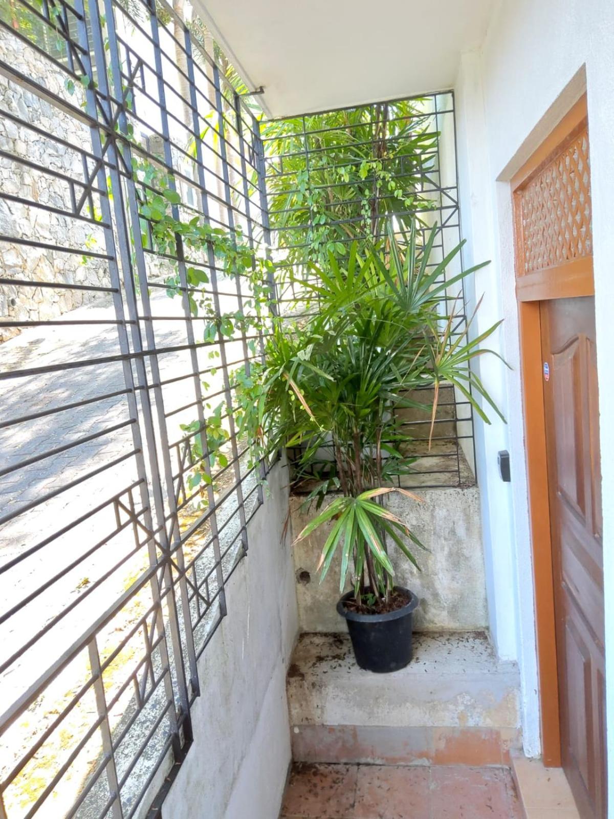 Red Rocks Studio - Comfortable and serene cottage surrounded with palms and tamarind tree