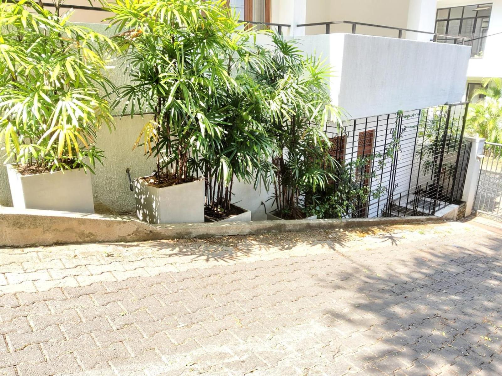 Red Rocks Studio - Comfortable and serene cottage surrounded with palms and tamarind tree