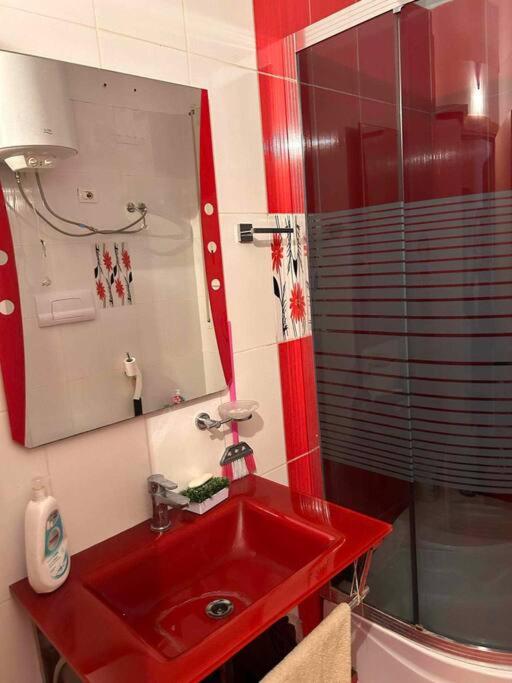 Apartment in the center of vlore