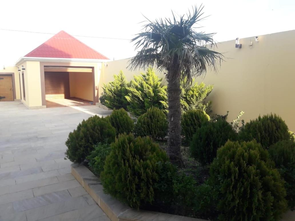 Villa in Baku