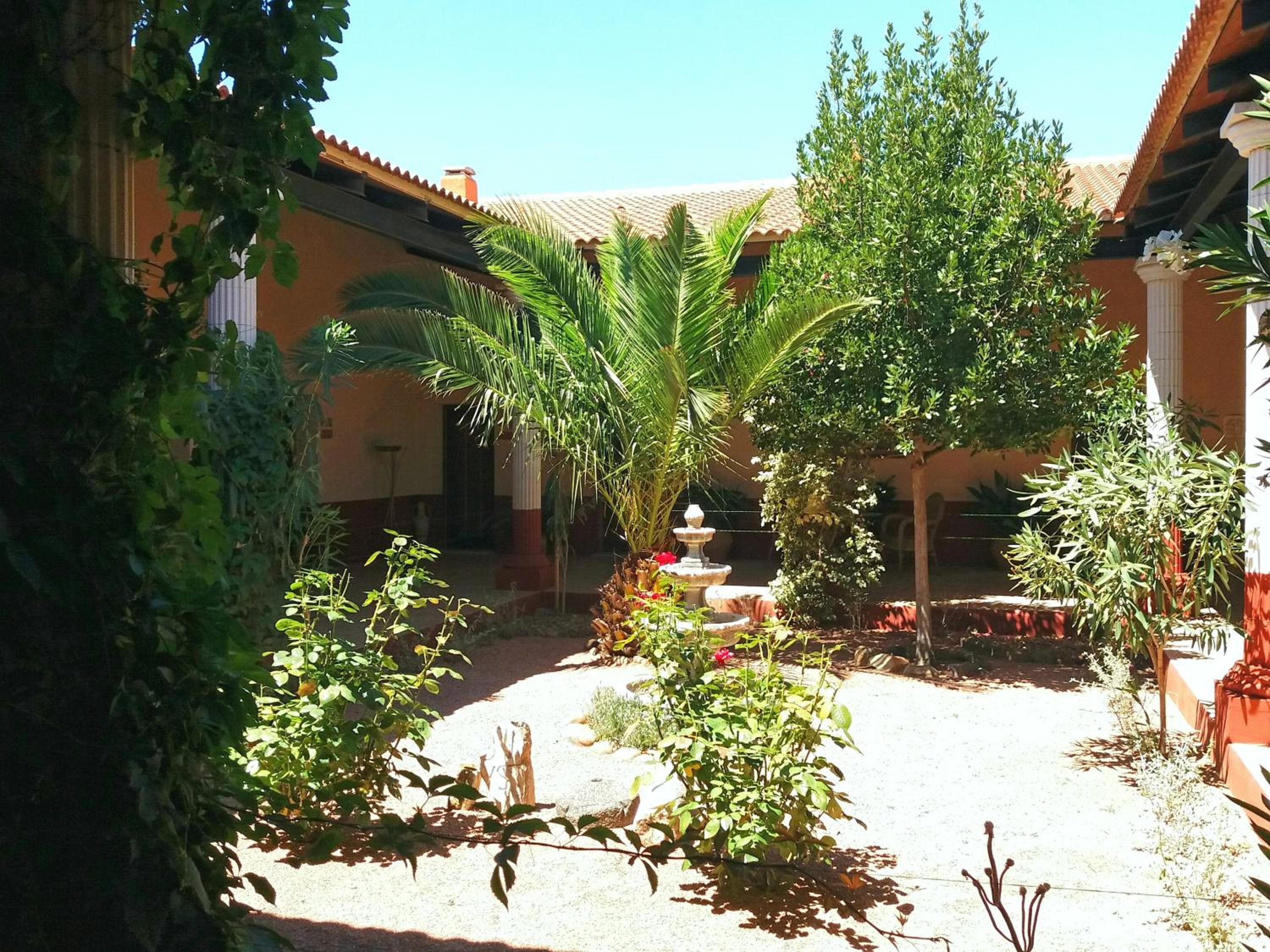 Photo 31