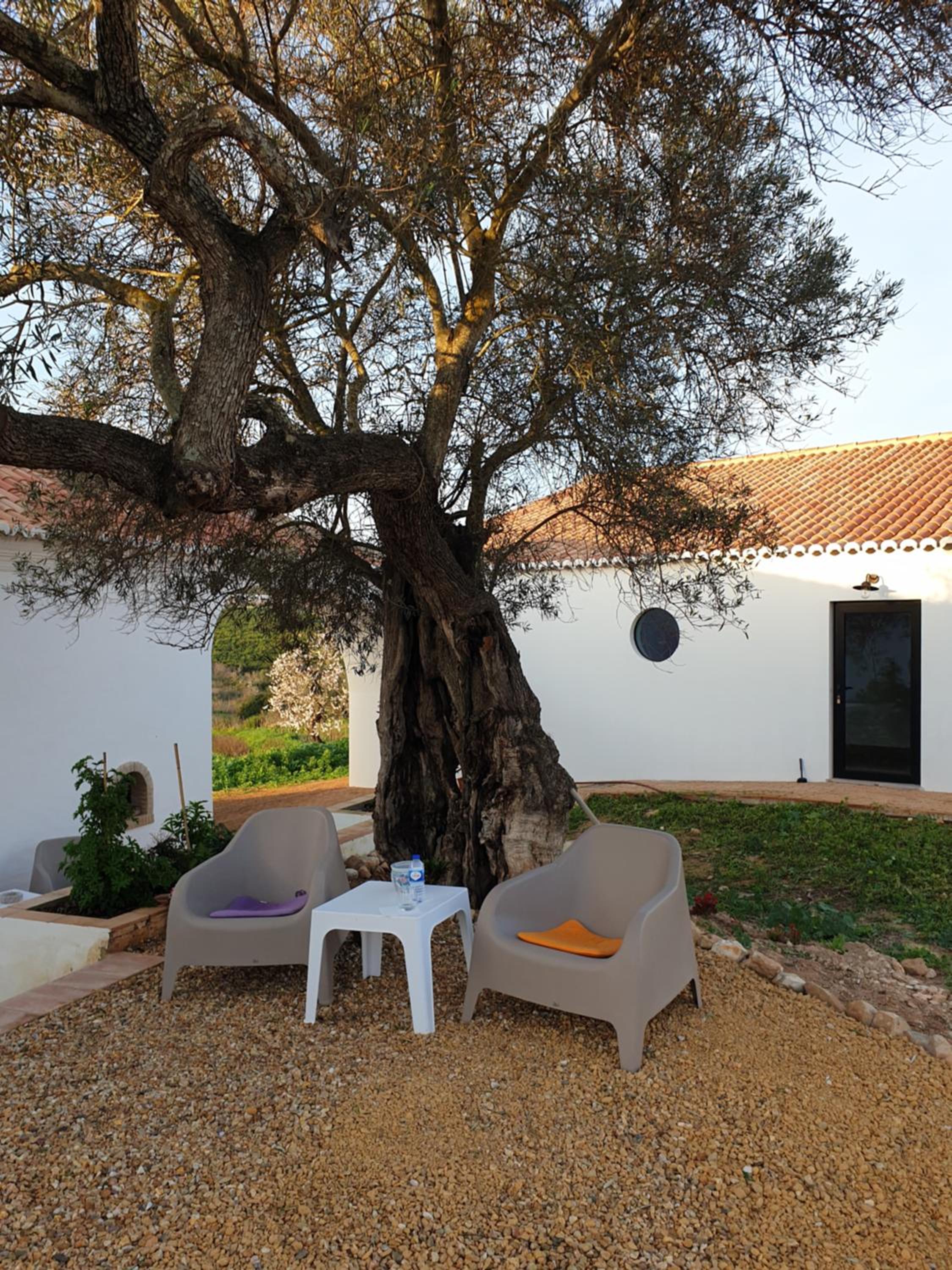 Monte das Açoteias - Agroturismo
