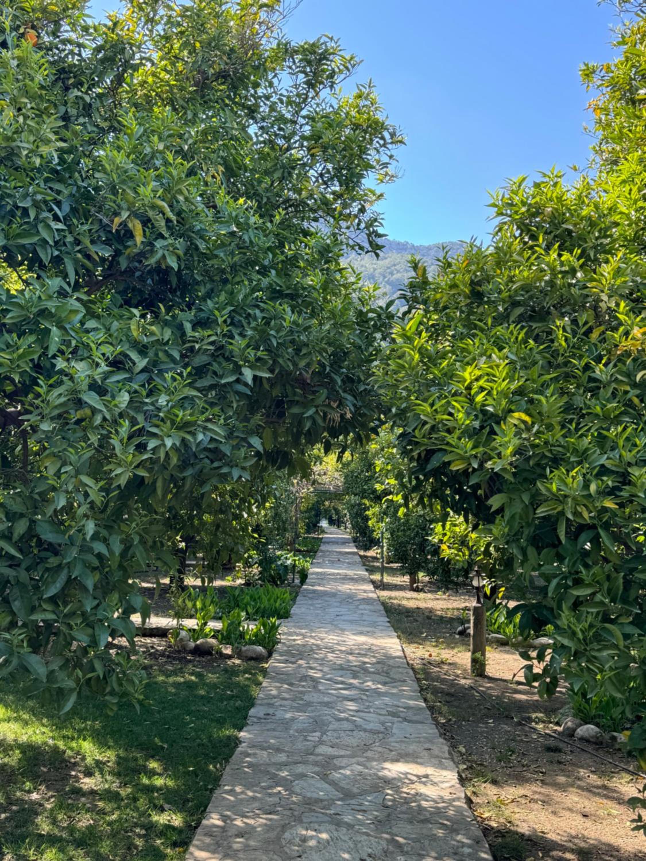 Hotel Yavuz Bungalow