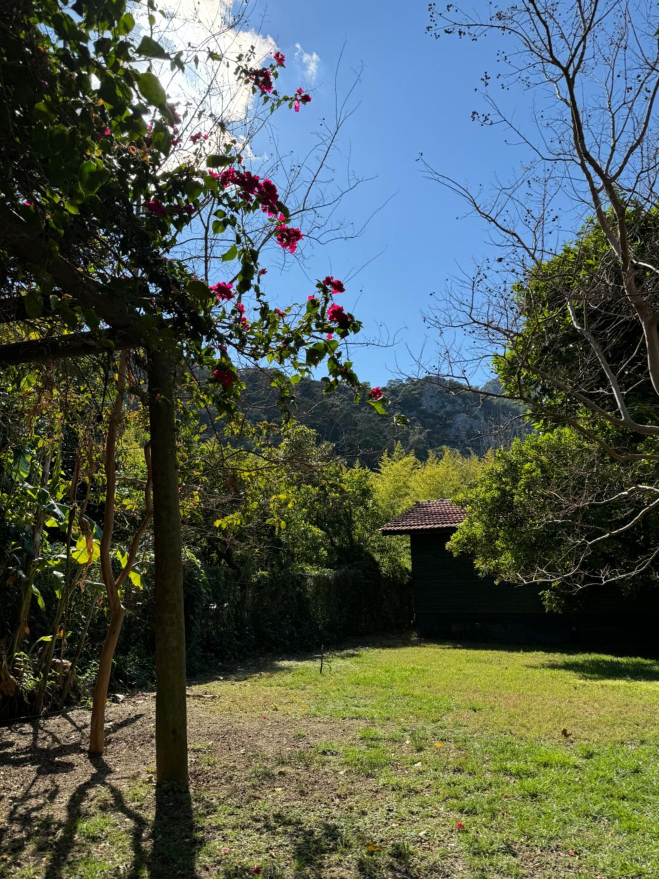 Hotel Yavuz Bungalow