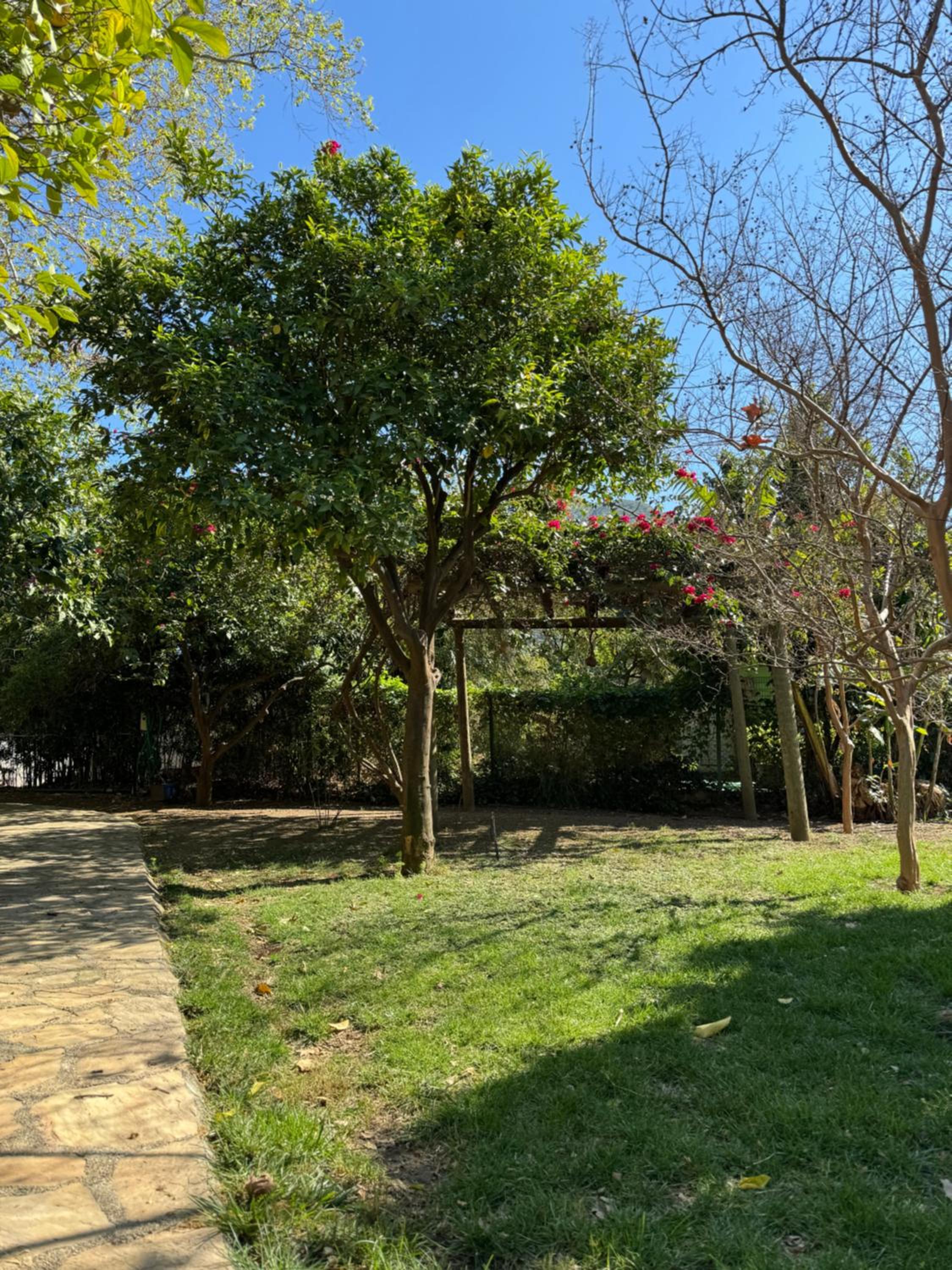 Hotel Yavuz Bungalow