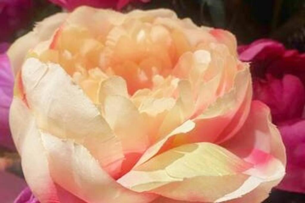 LOVE and Relax at Dream Catcher Retreat