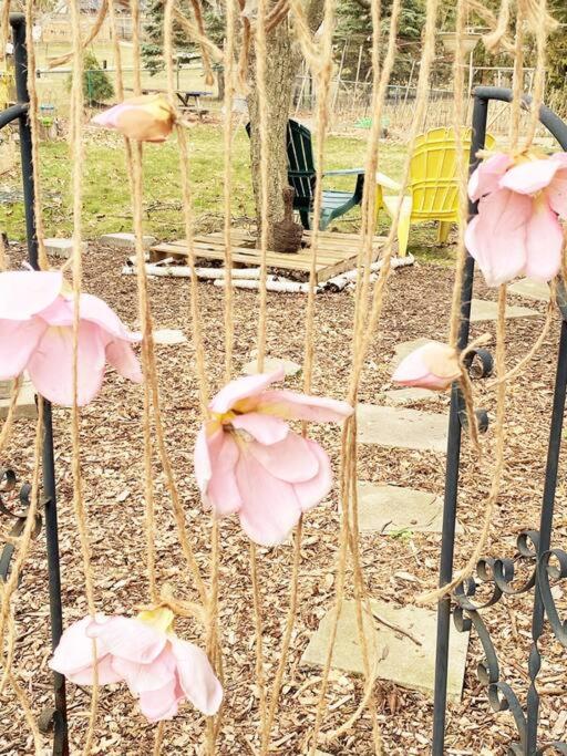 LOVE and Relax at Dream Catcher Retreat