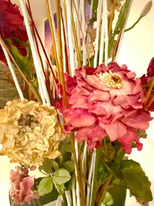 LOVE and Relax at Dream Catcher Retreat