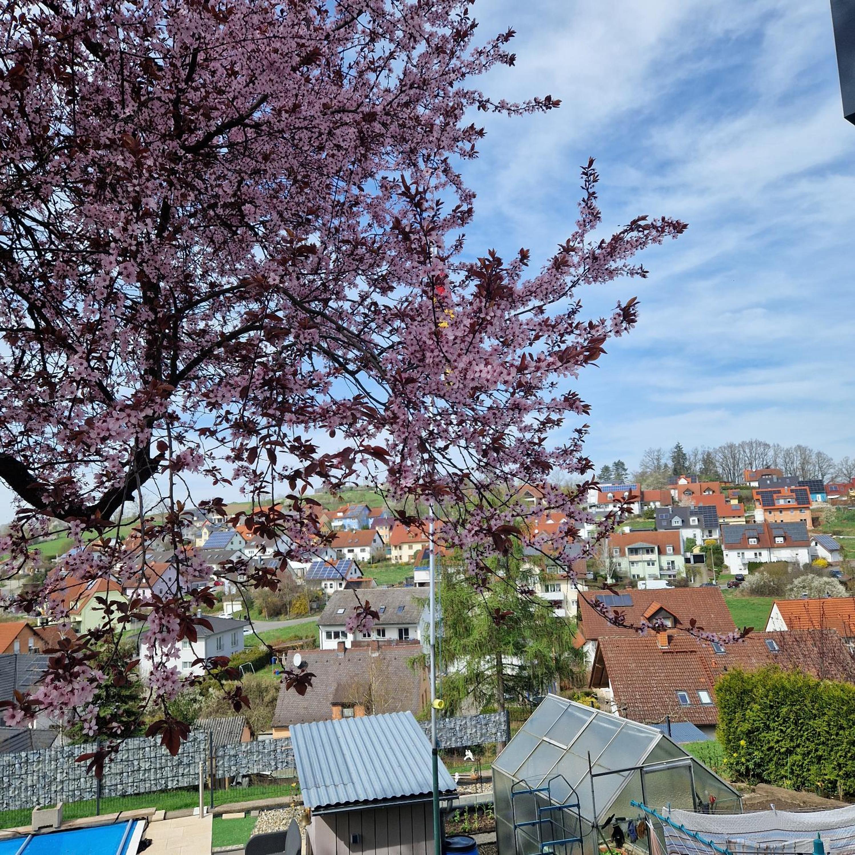 Ferienwohnung Wachter in Viereth mit tollem Ausblick - Property Image 3