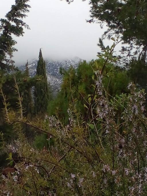 Refugio de Montaña - Casa de la Paz