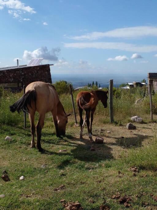Refugio de Montaña - Casa de la Paz