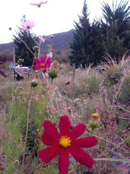 Refugio de Montaña - Casa de la Paz