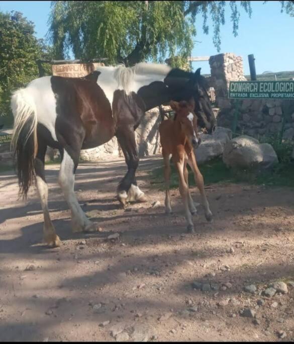 Refugio de Montaña - Casa de la Paz