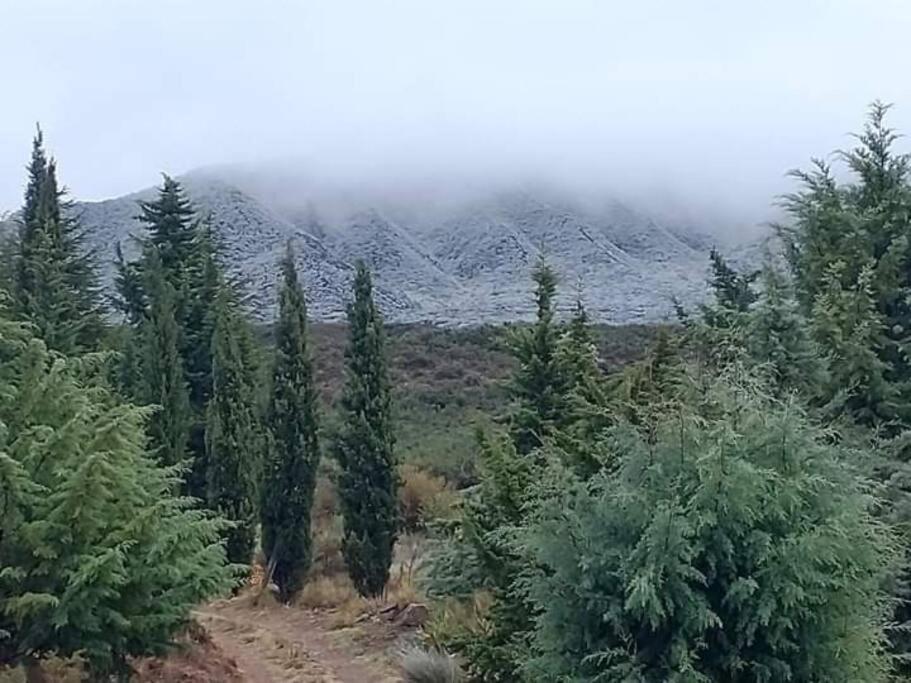 Refugio de Montaña - Casa de la Paz
