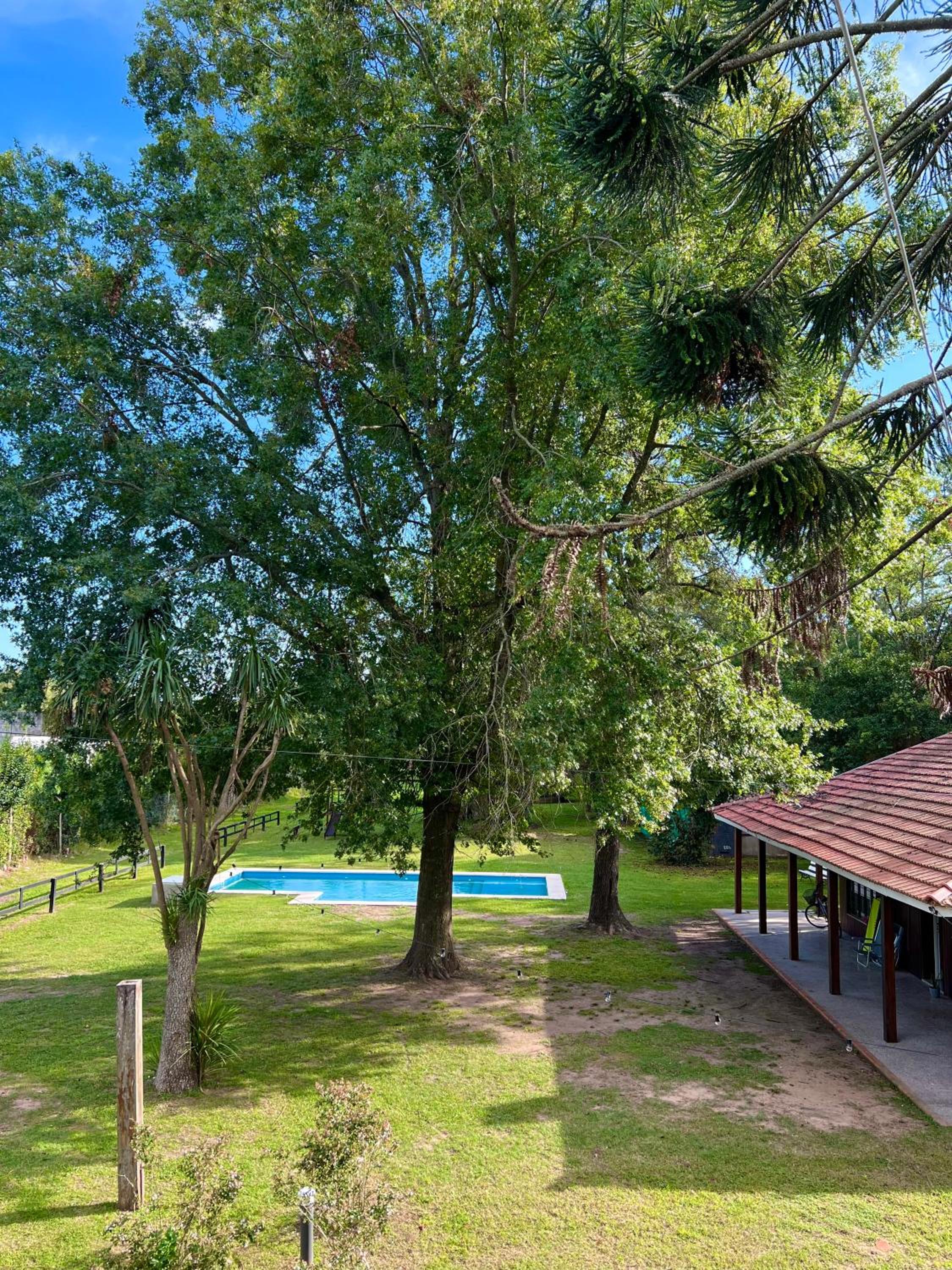 Araucarias Cabañas y Departamentos