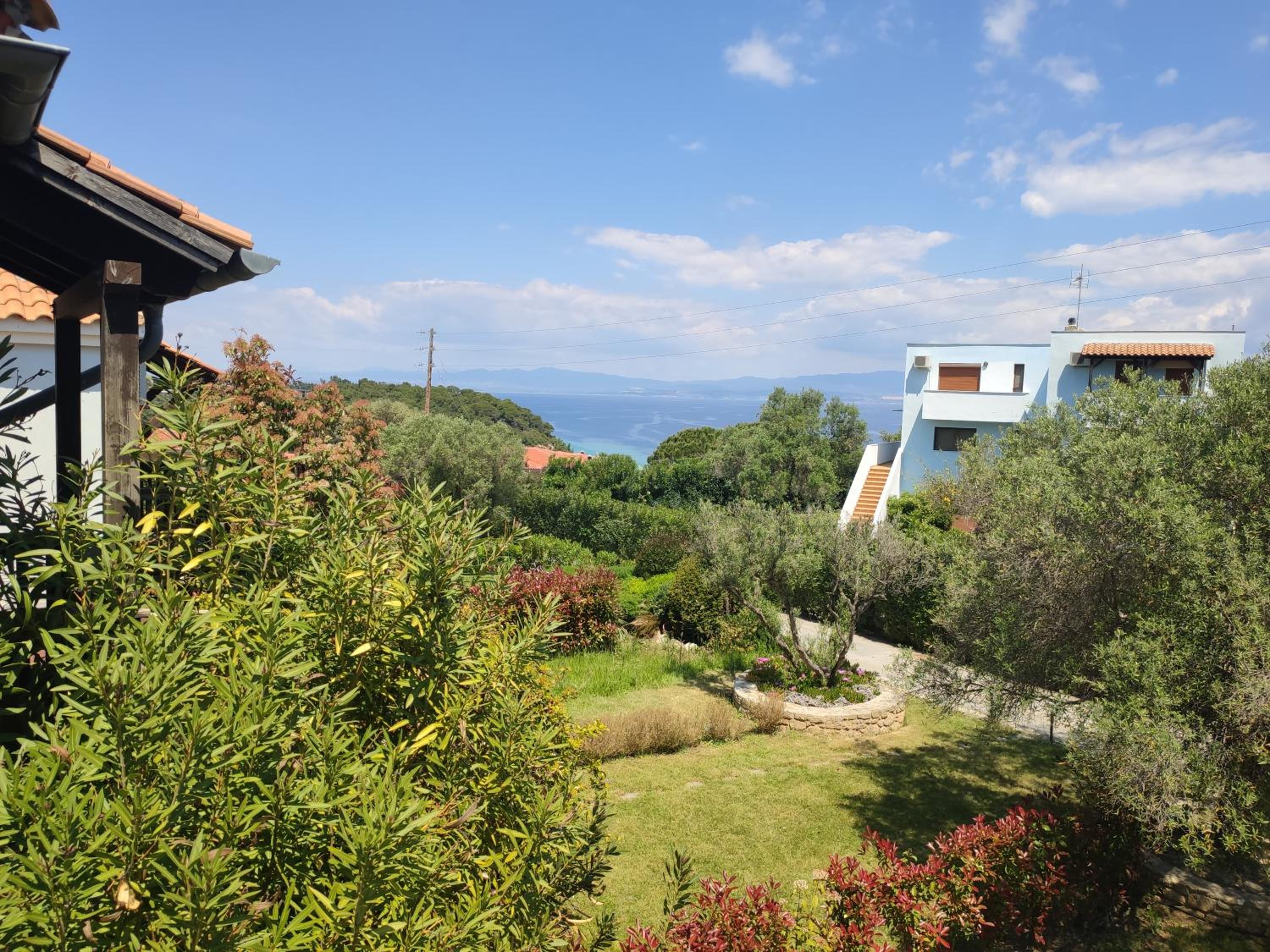 AF HOUSE&POOl