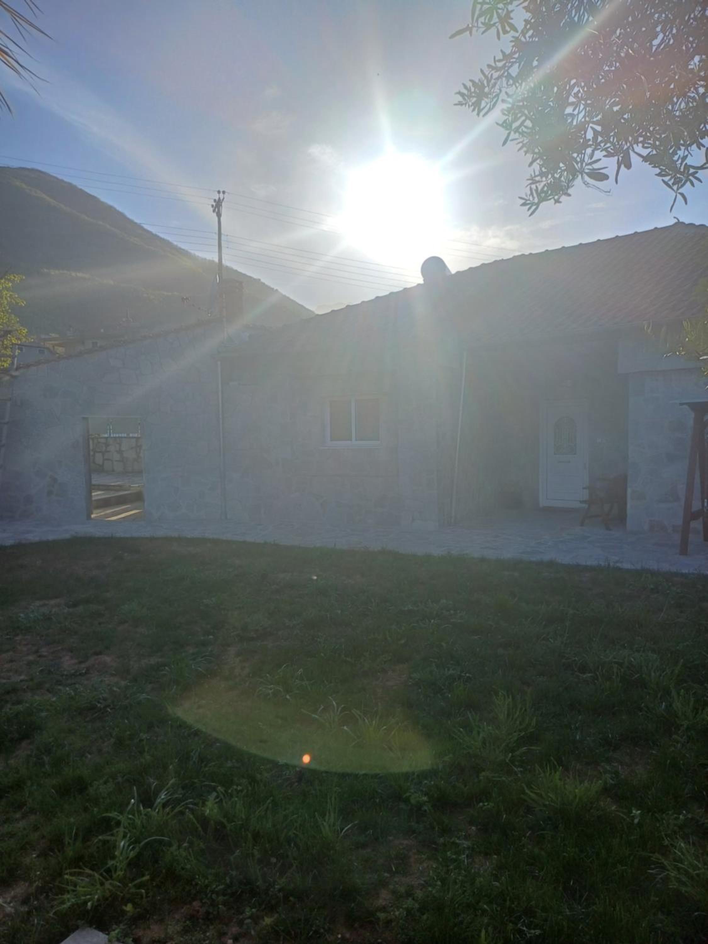 Bella Gaia