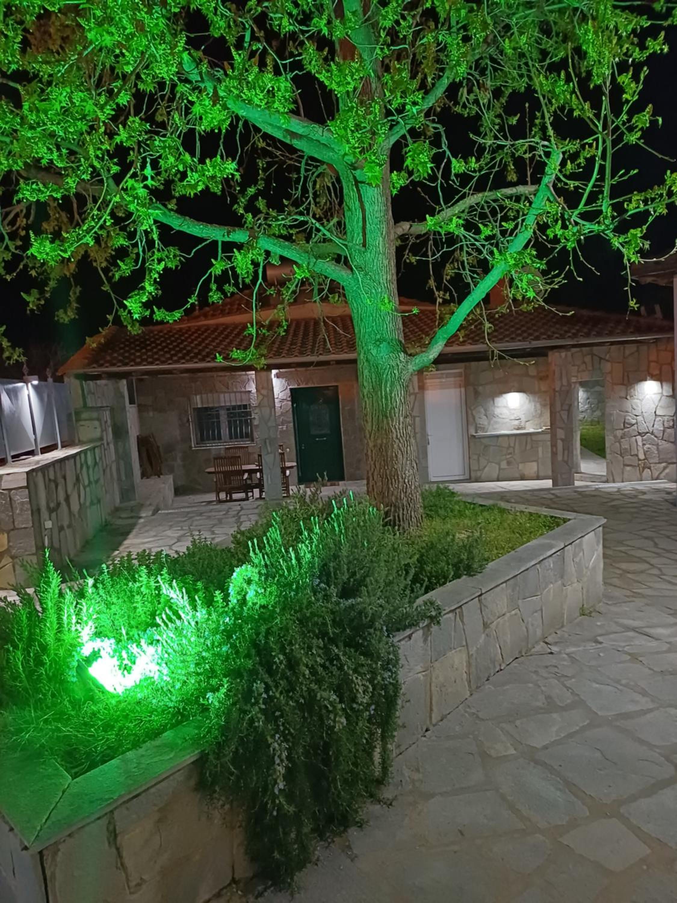 Bella Gaia