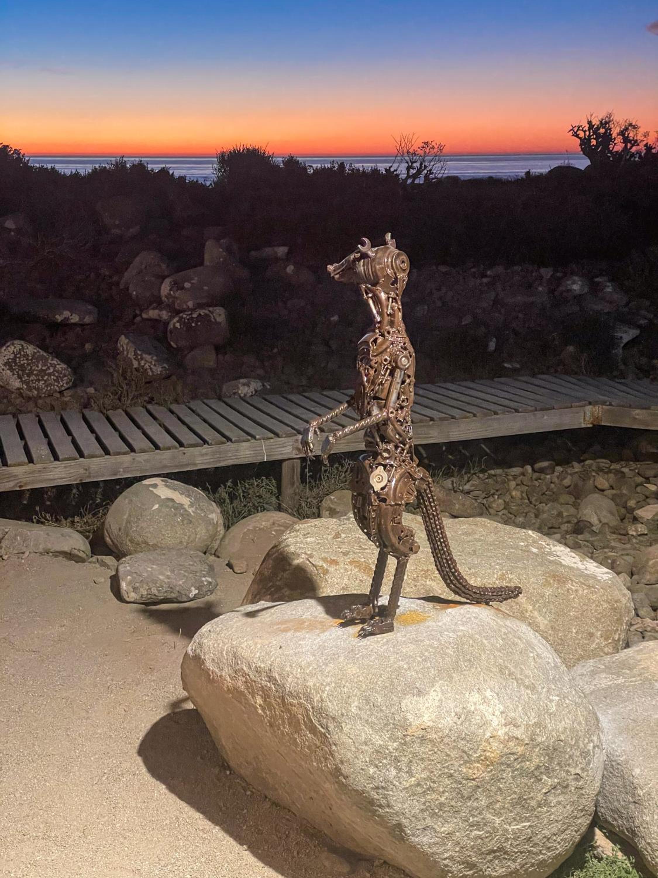Magical Mongoose