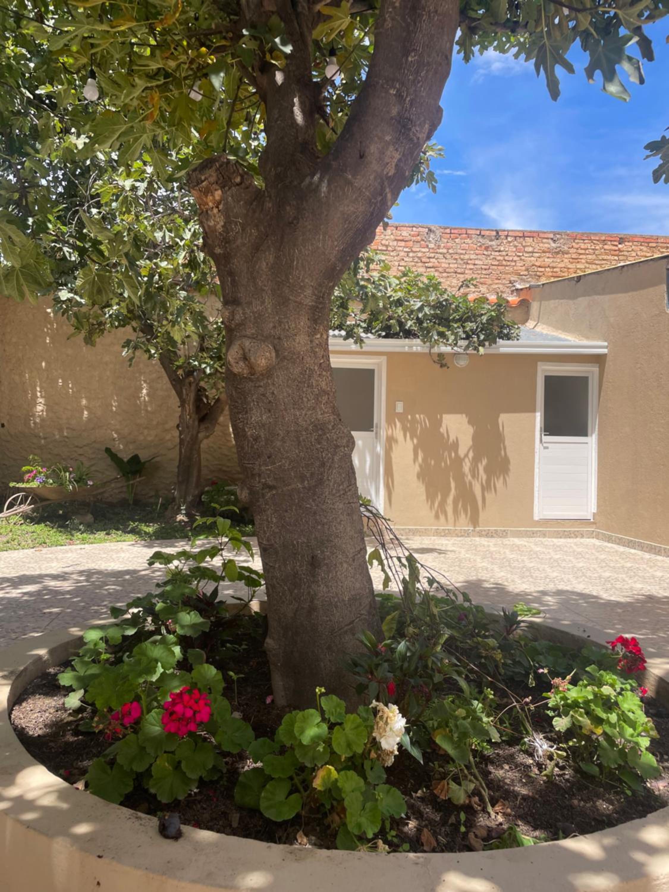 Casa céntrica Las Higueras