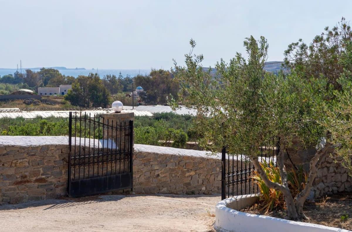 Theodora's Family Suite view 2