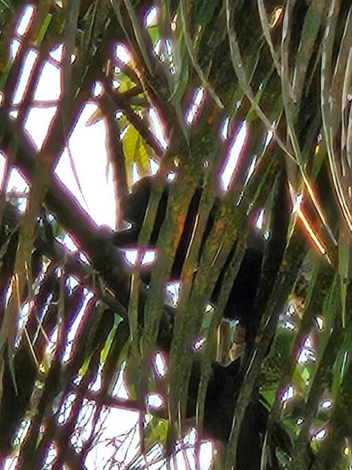 Villa Thuja, 3B, place for a relaxing getaway