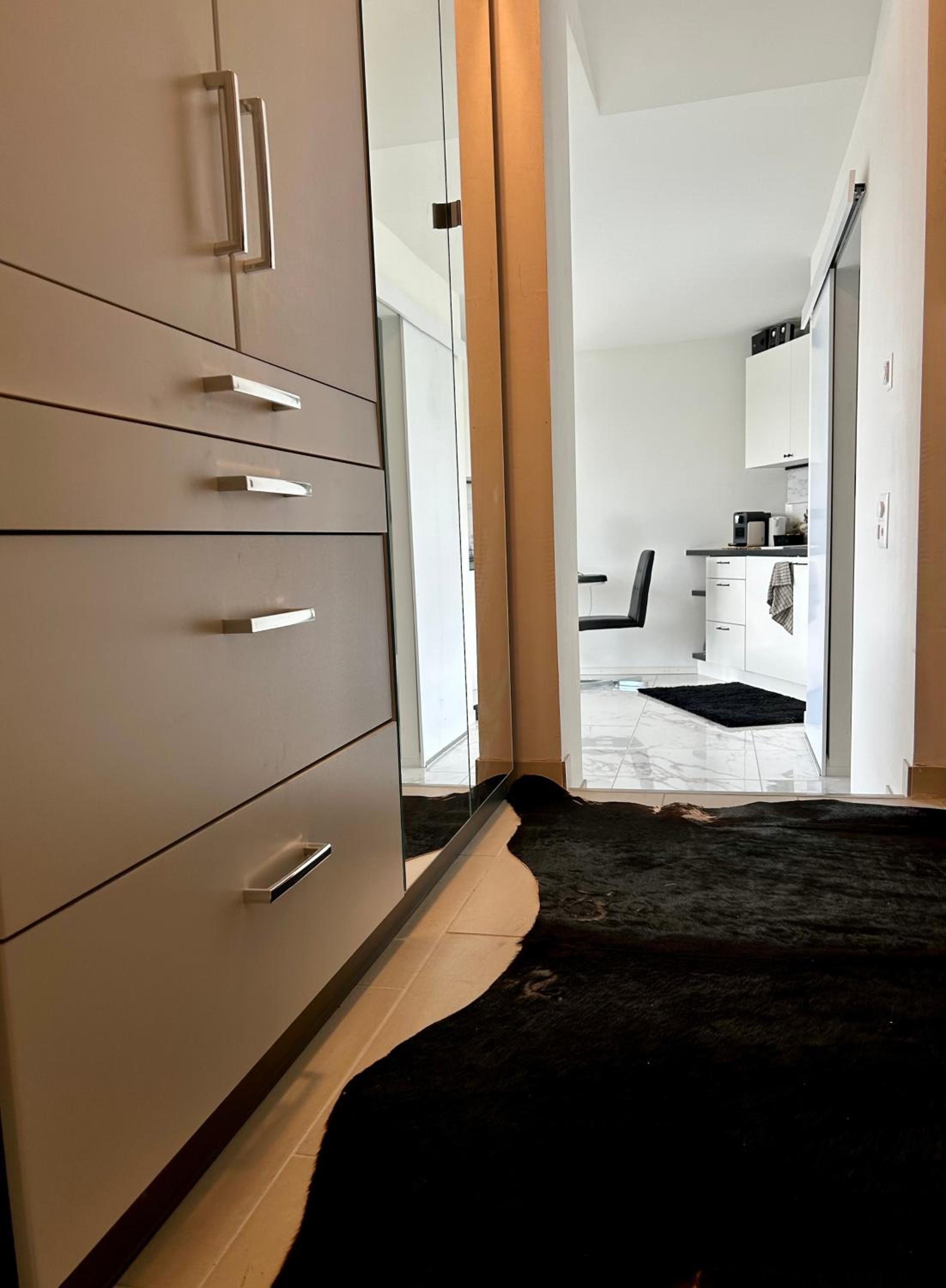 Modern Studio with Lake View near Zurich