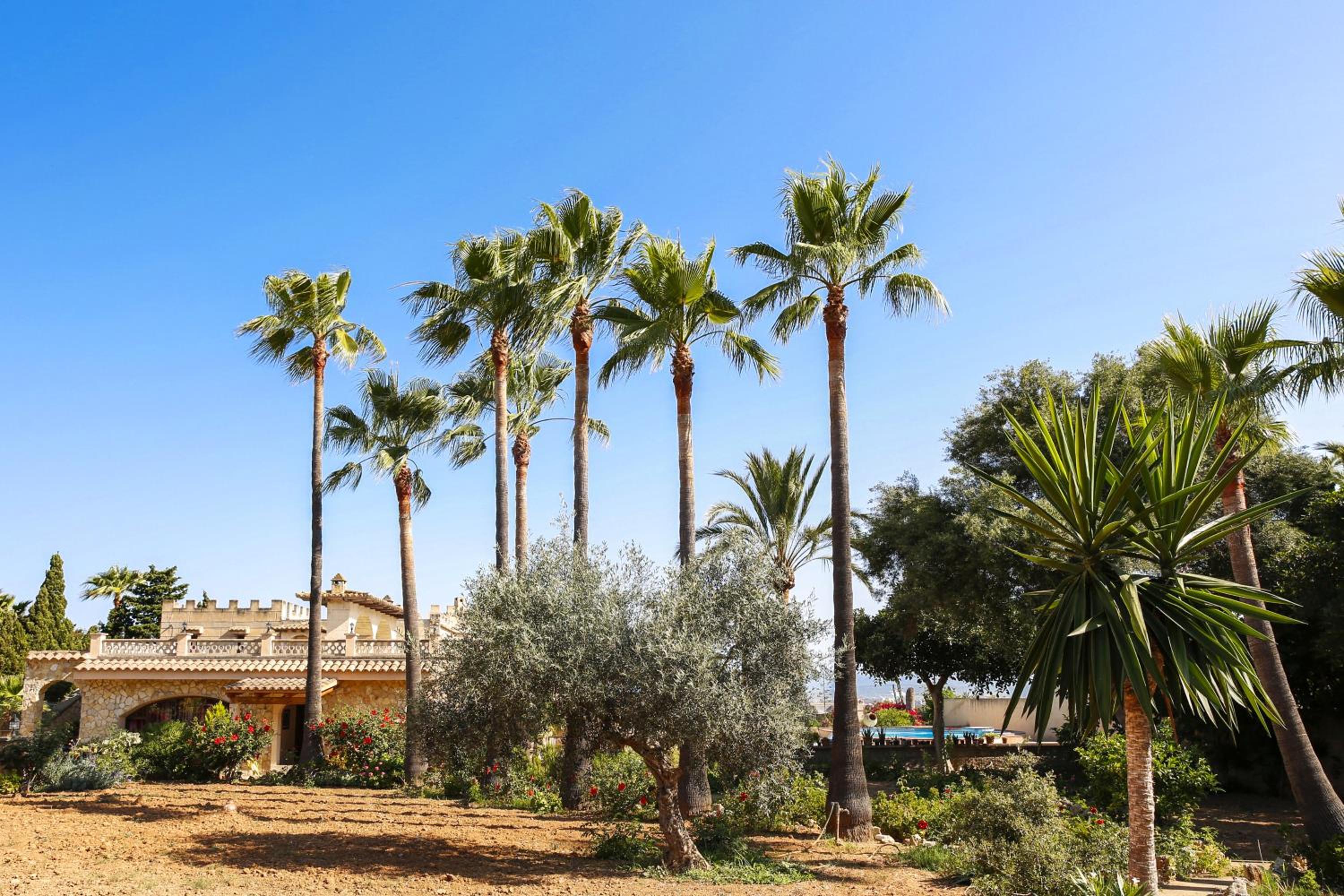 Castell Villa Bohío Mallorca view 4