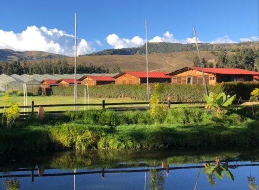 CABAÑAS VILLA INES DE SUESCA