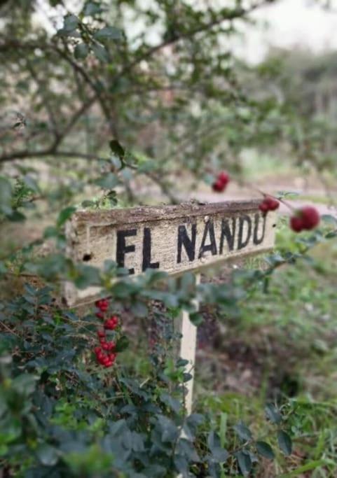 Casa de Campo El Ñandú con gran jardín y pileta