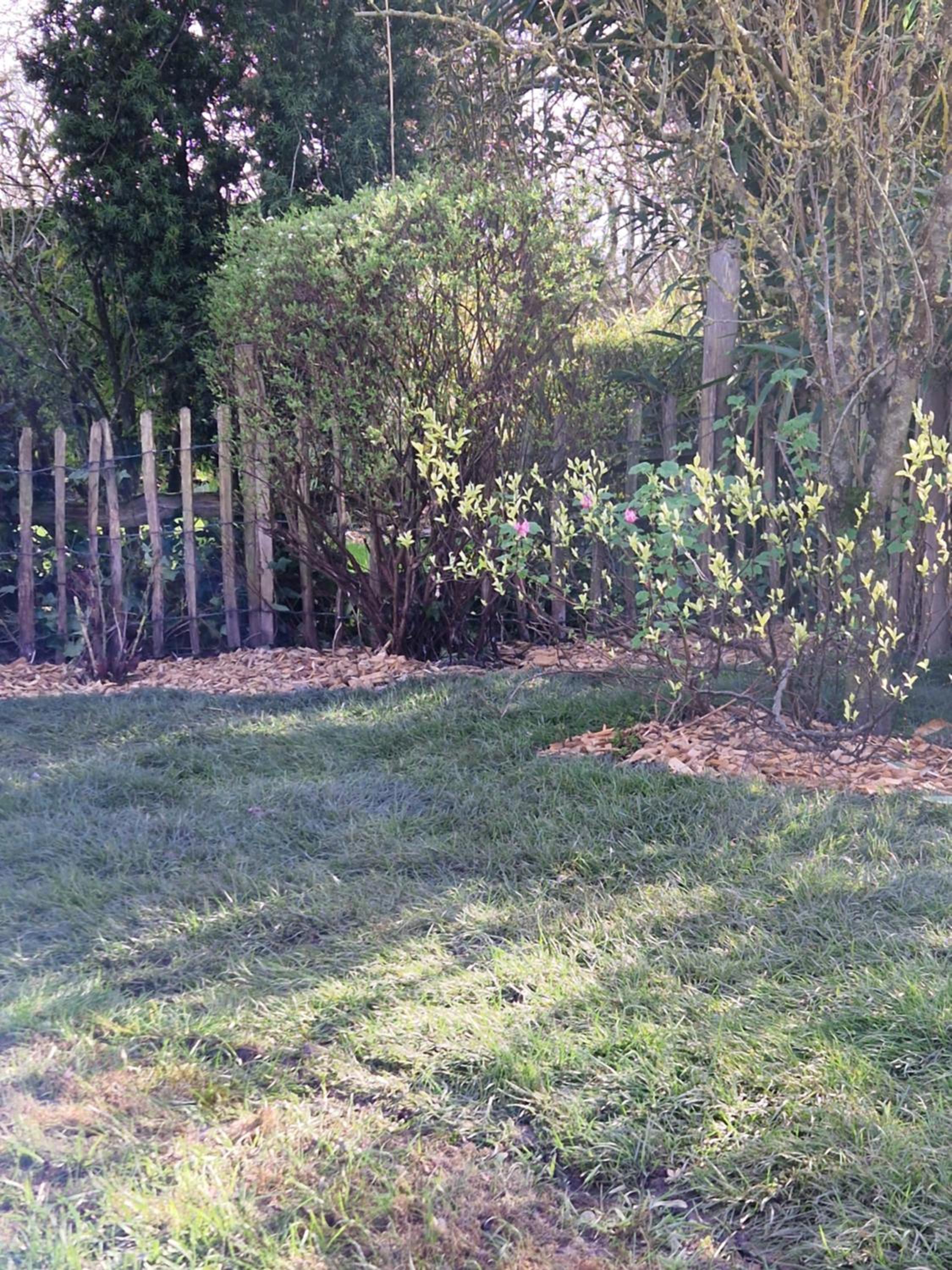 Photo 17