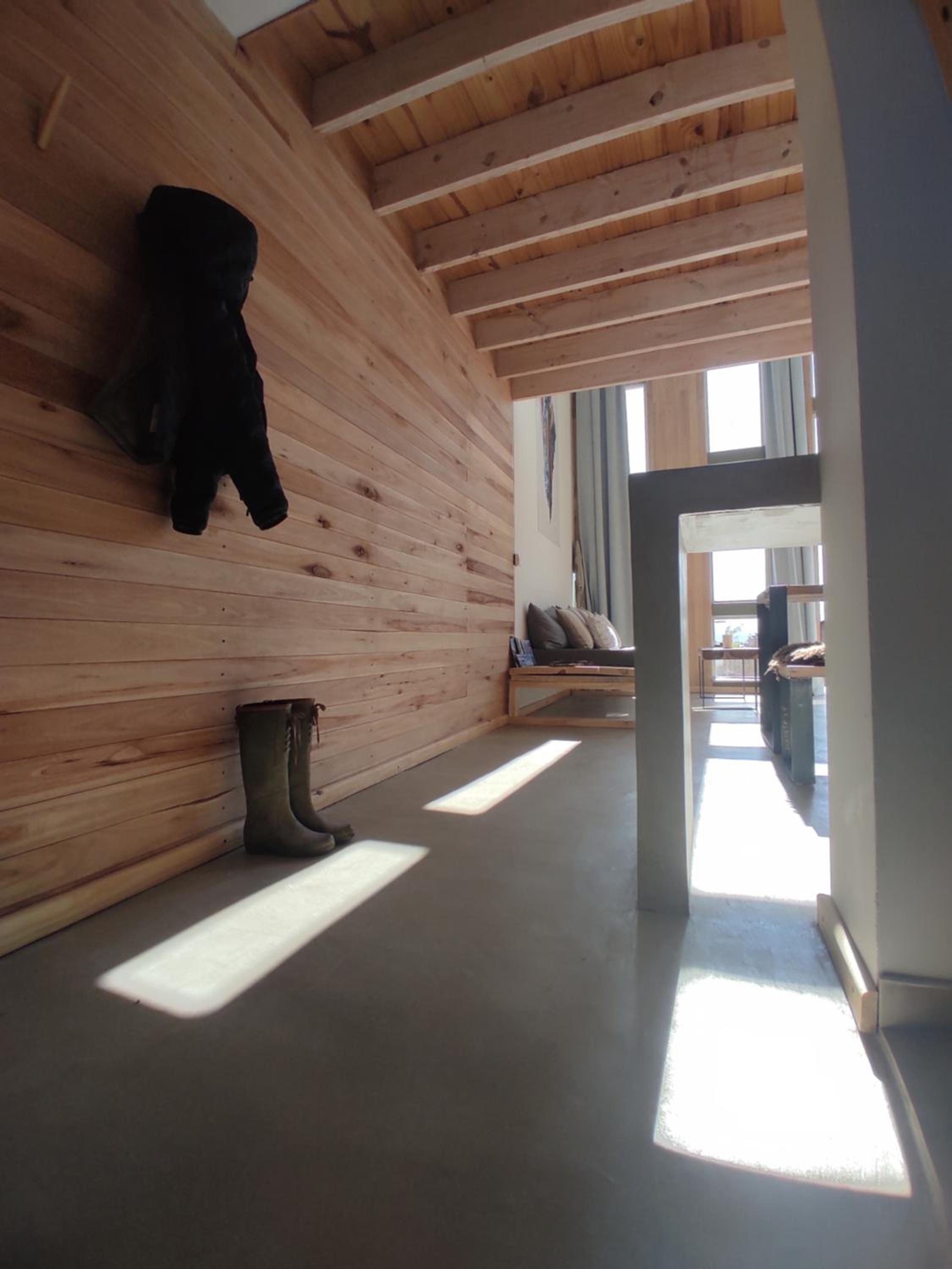 PACHAGONIA Loft