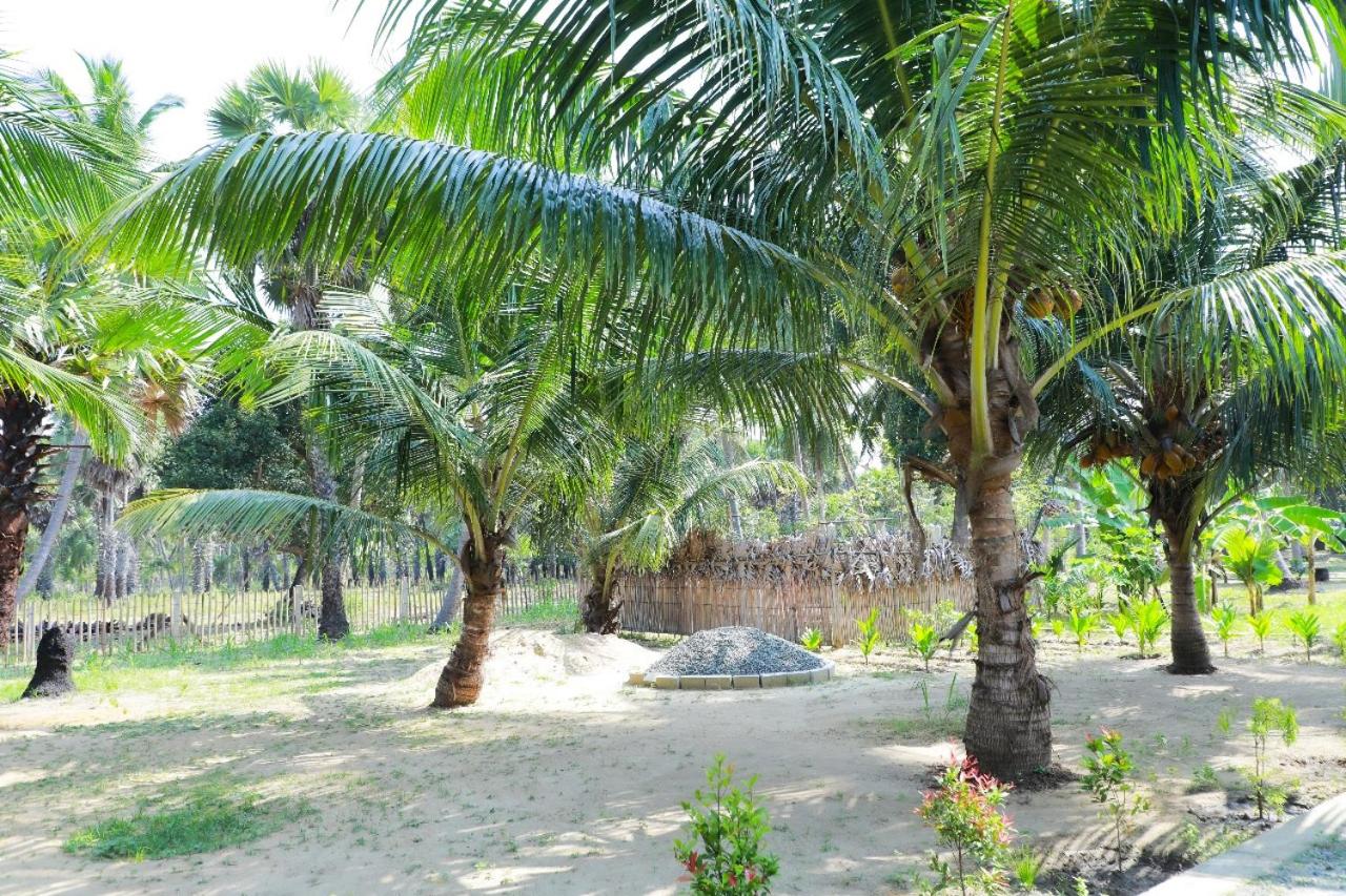 Nature Paradise