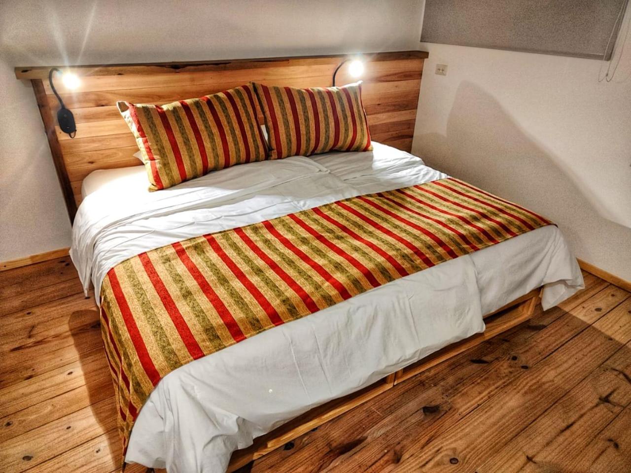 PACHAGONIA Loft