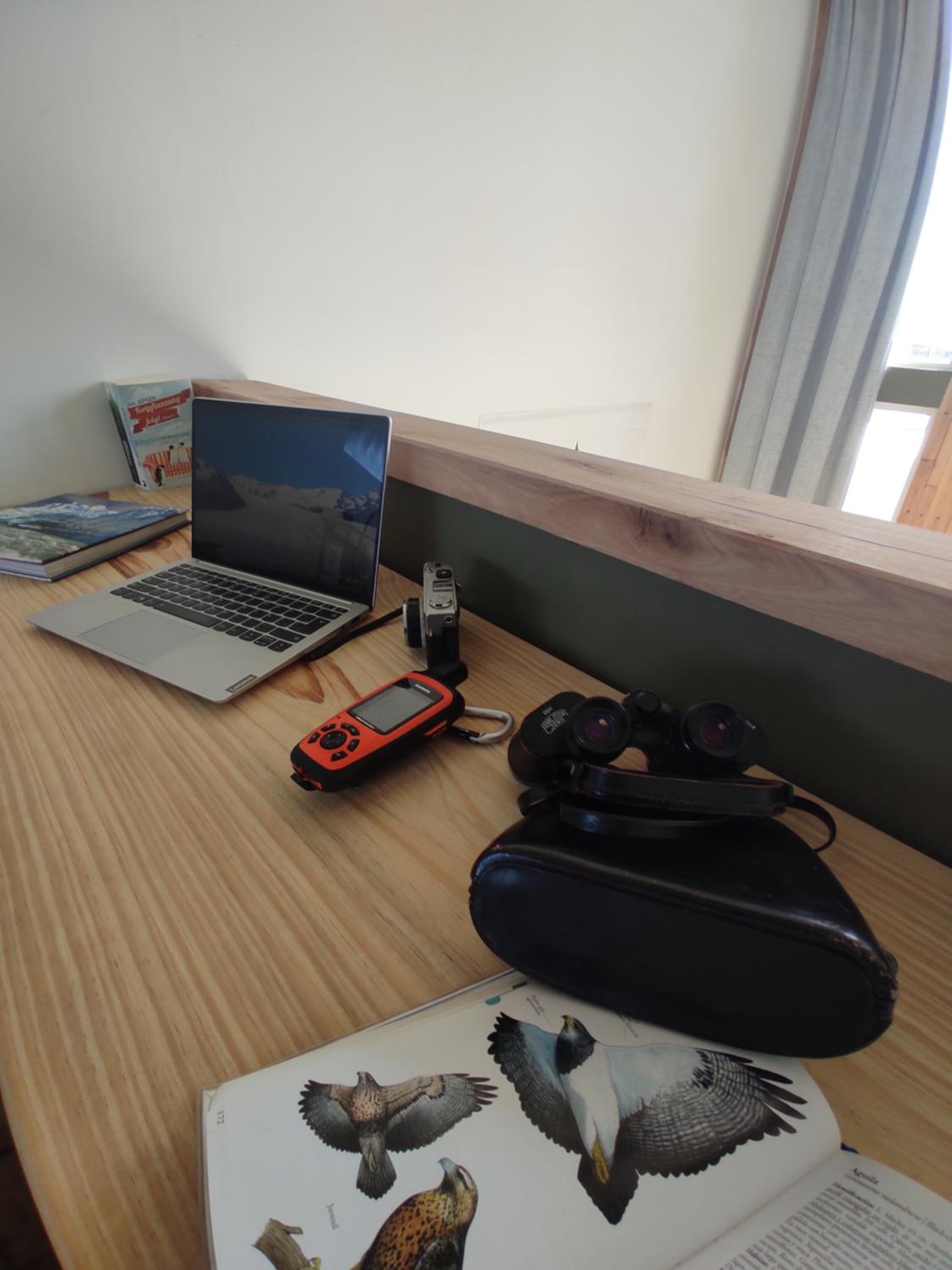 PACHAGONIA Loft