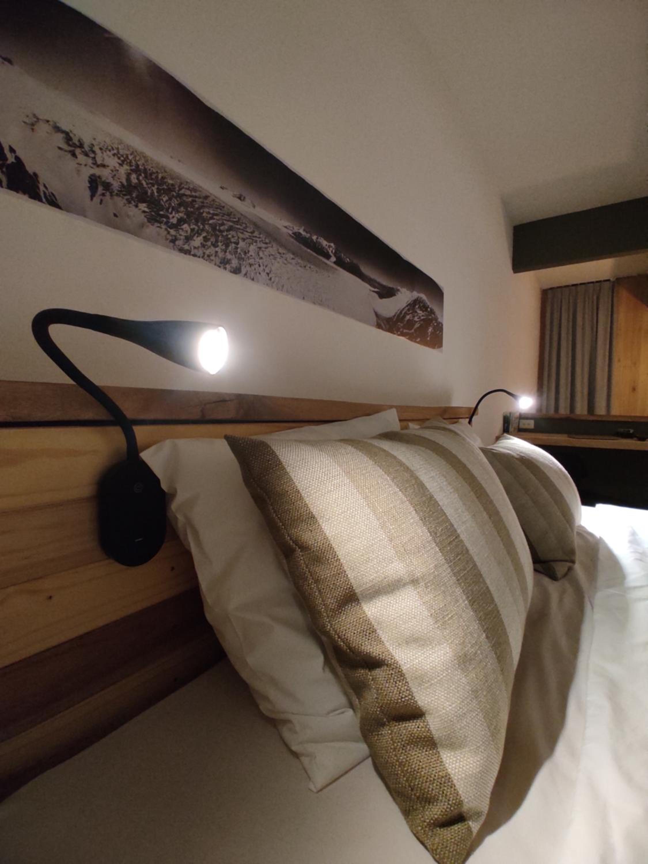 PACHAGONIA Loft