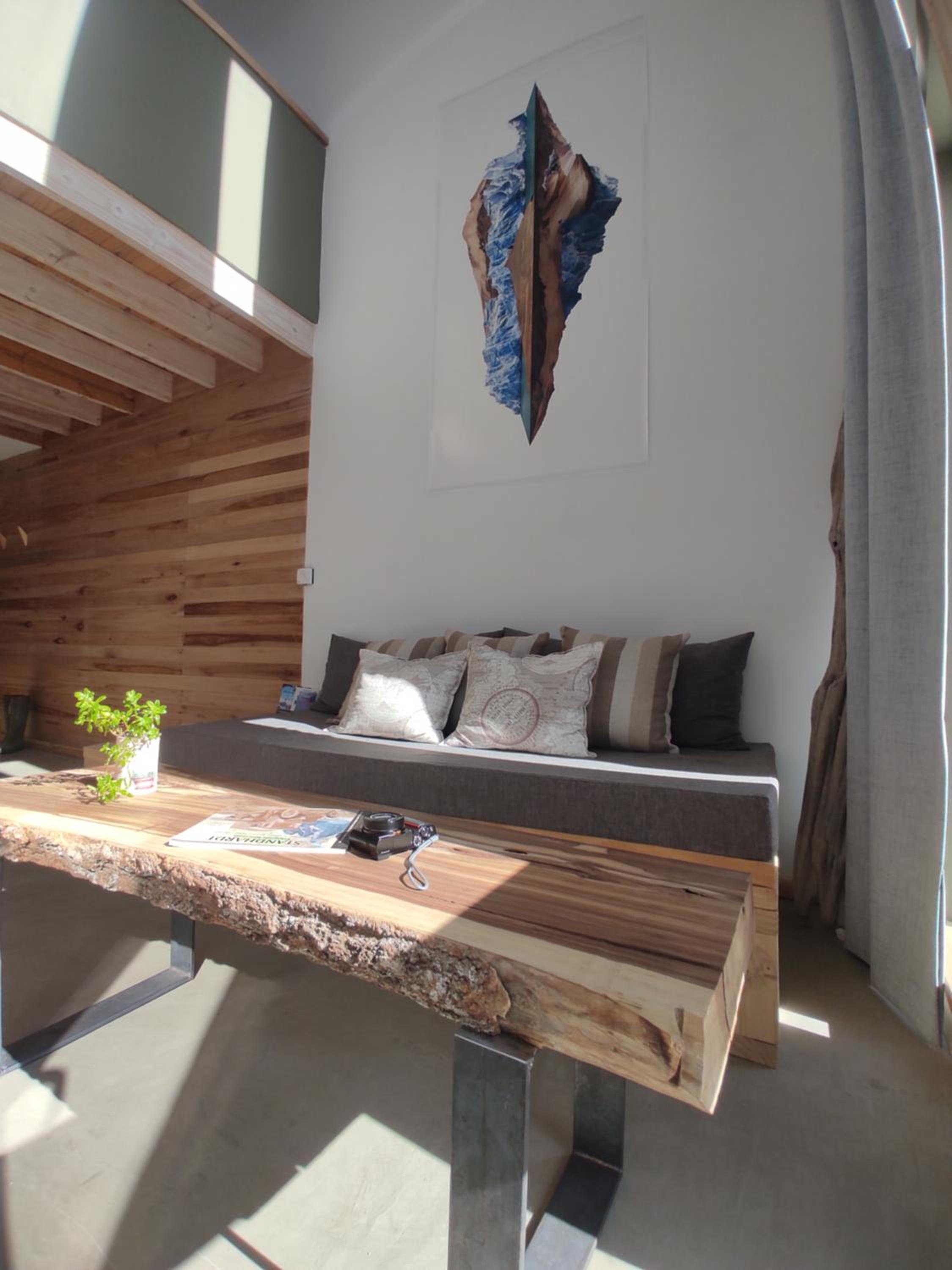 PACHAGONIA Loft