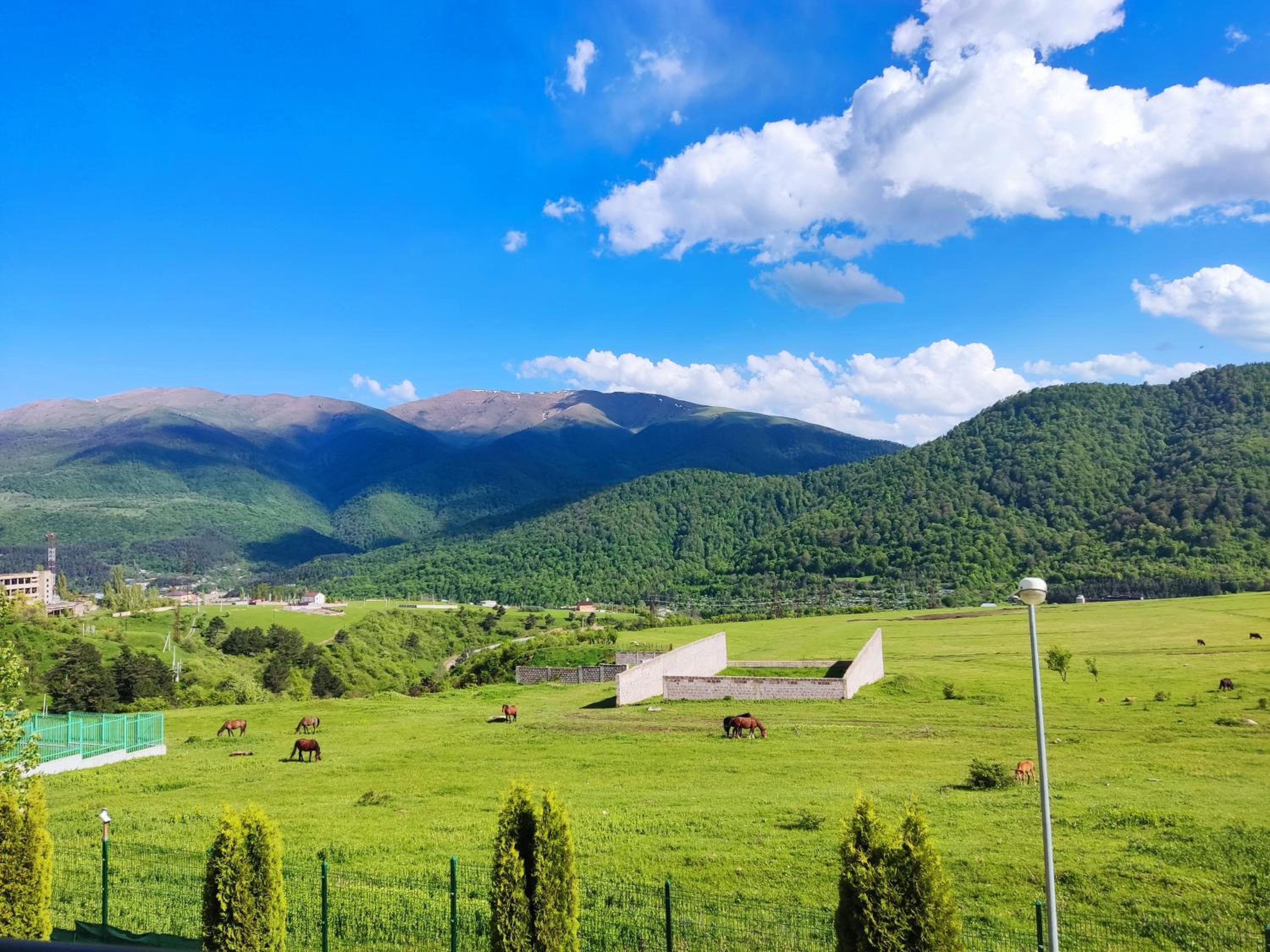 Dilijan town house