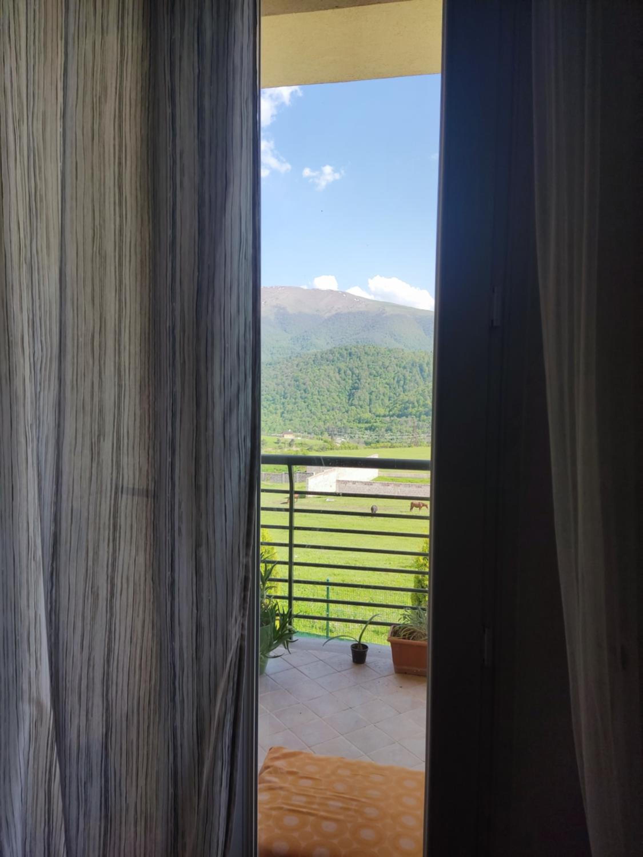 Dilijan town house
