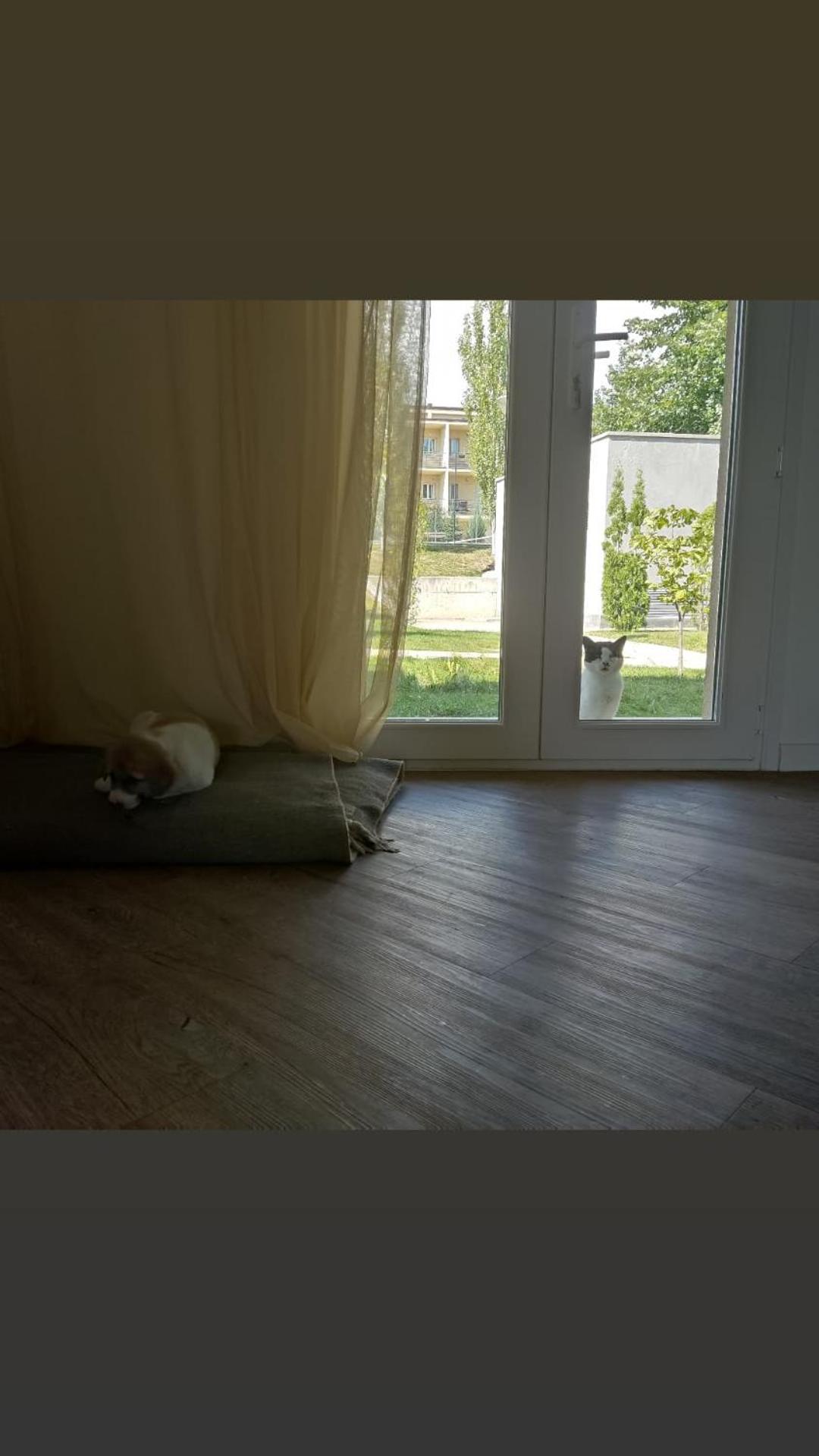 Dilijan town house