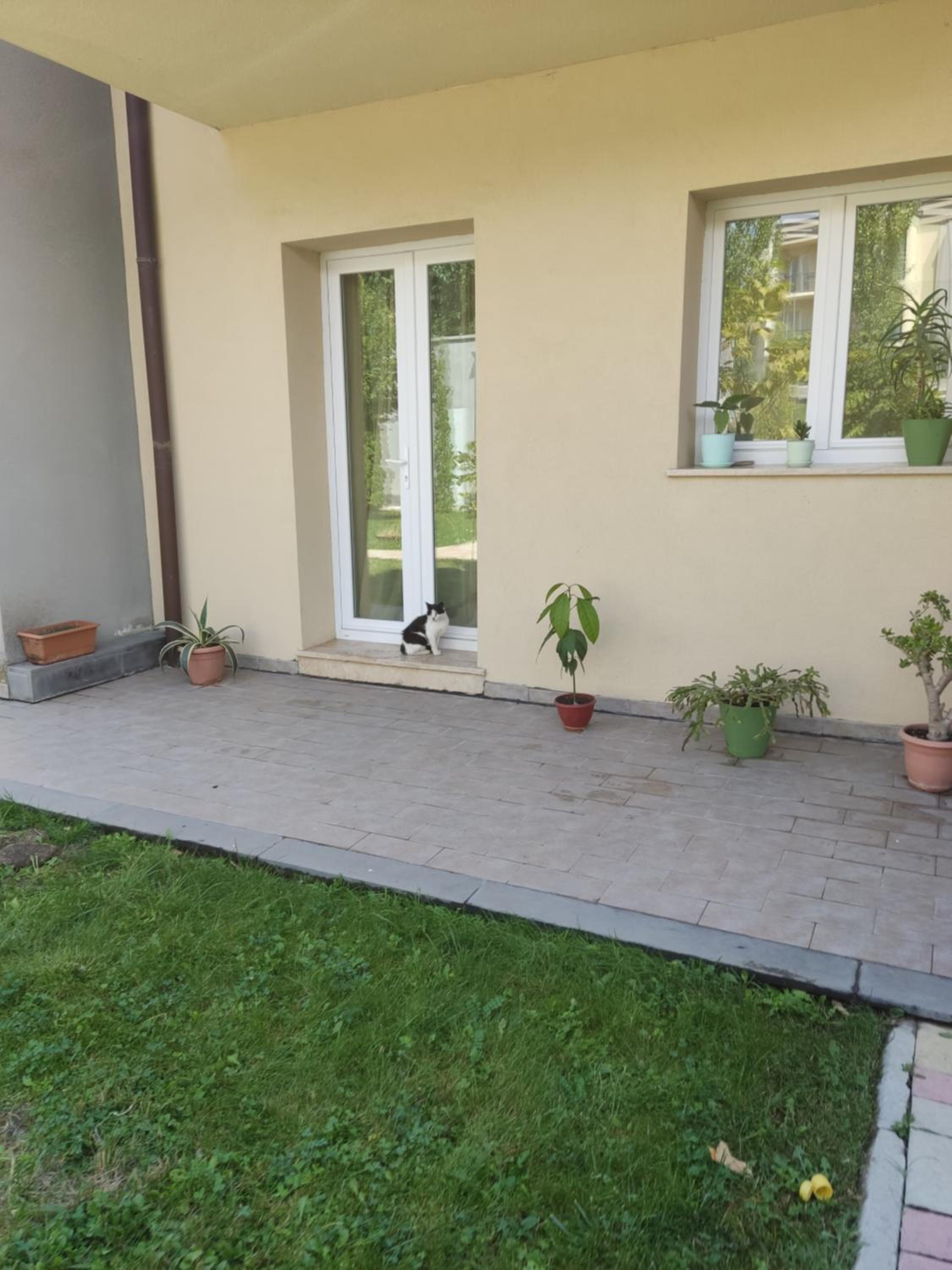 Dilijan town house