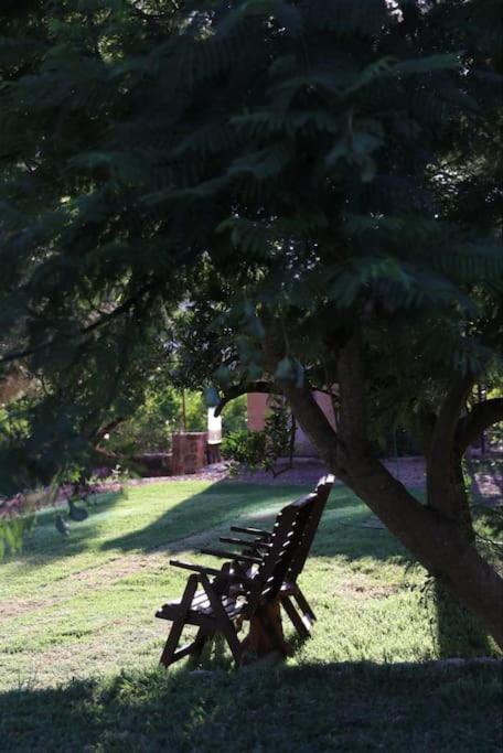 Beautiful fruit farm and vineyard in heart of Soller Valley