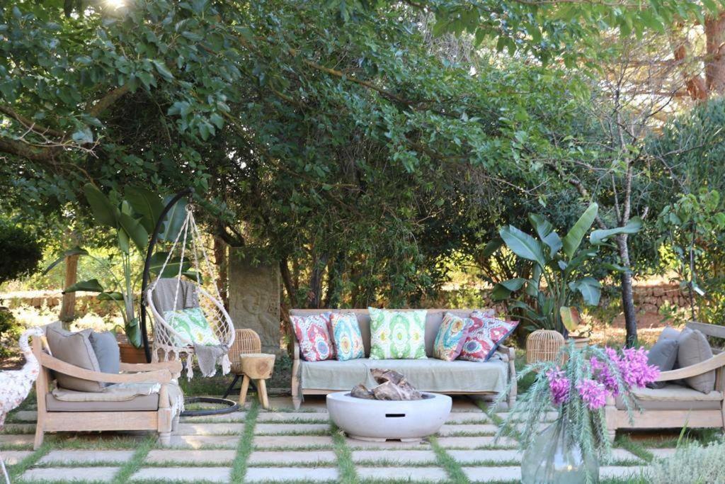 Beautiful fruit farm and vineyard in heart of Soller Valley