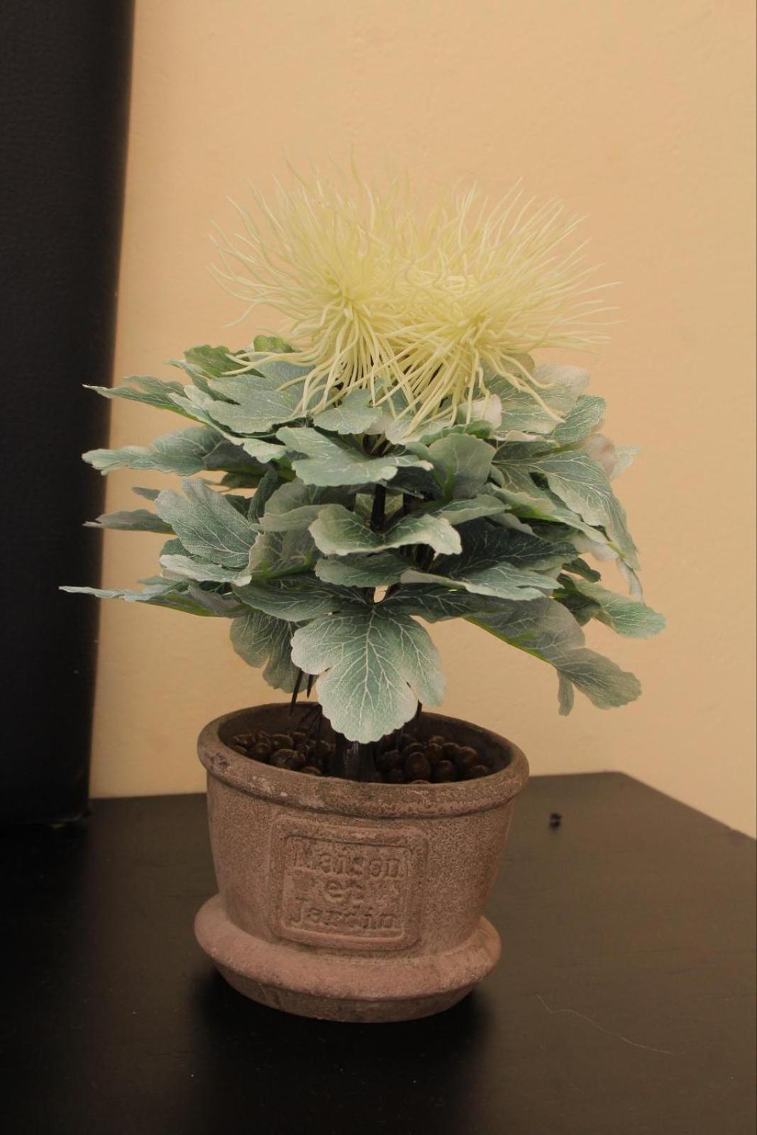 Kunzi B&B