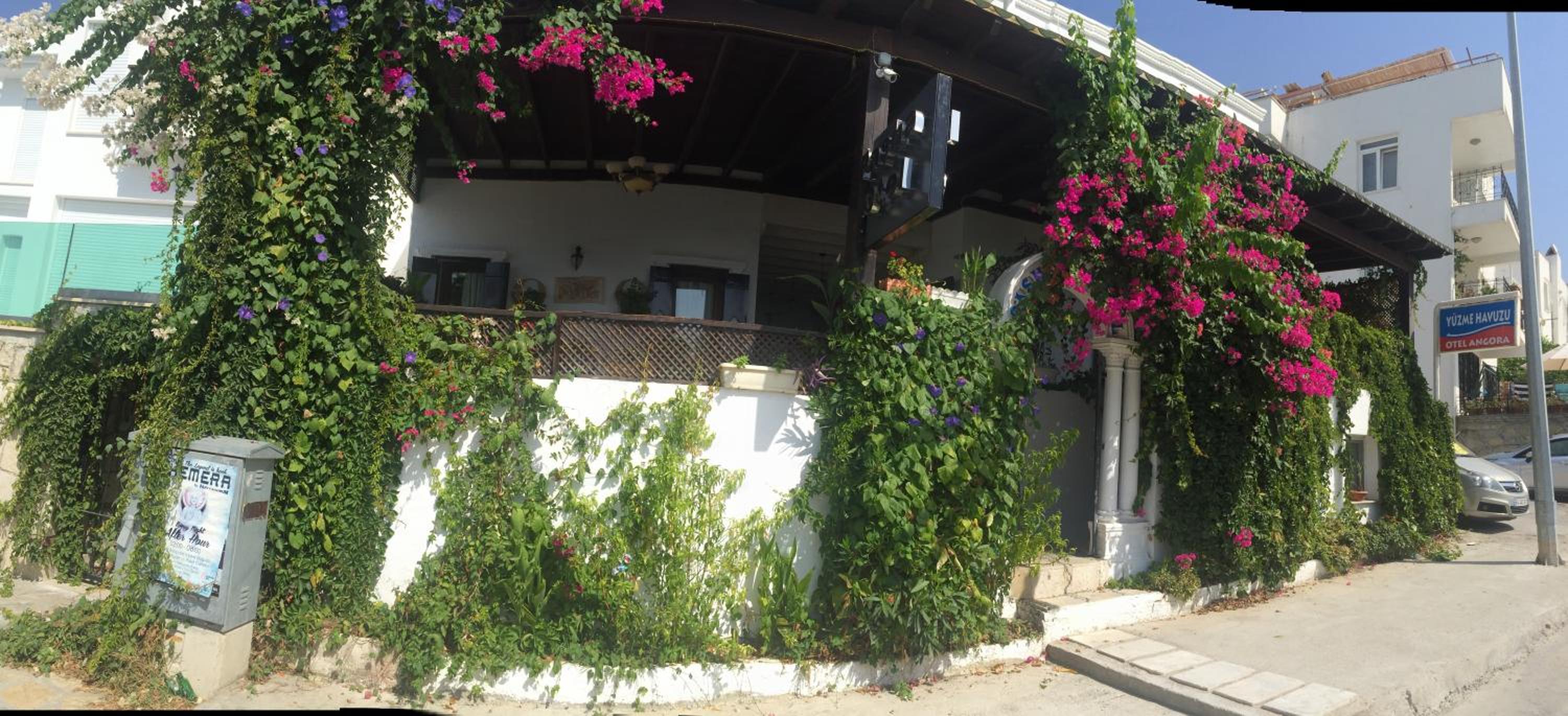 Pasha Motel