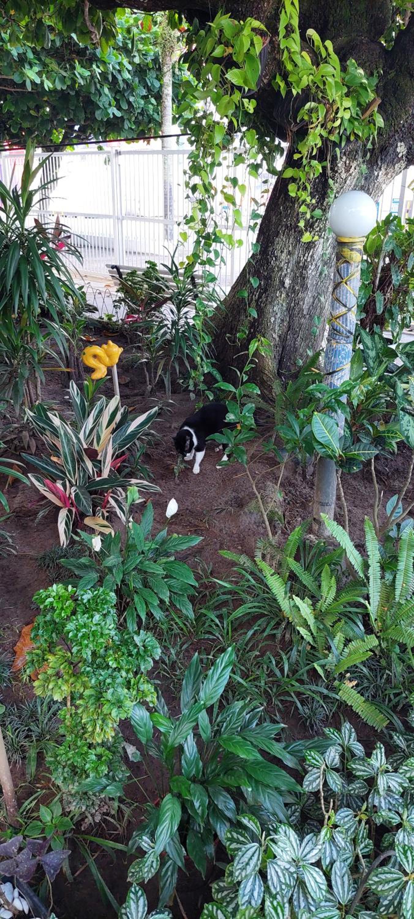 Apartamento Praia Grande Ocian atrás do Extra